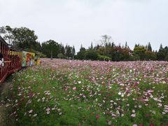 -歌斐颂巧克力小镇