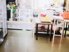 -白杨包子(通达街店)