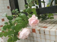 -黄浦路(地铁站)