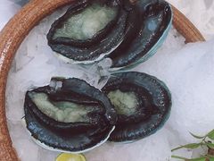-海鲨湾海鲜会馆(百家湖1912店)