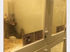 -龙猫仔乐园(惠福东路店)