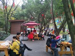 -金鸡山公园
