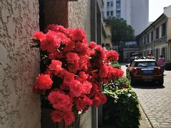 -徐家汇源景区-衡山坊