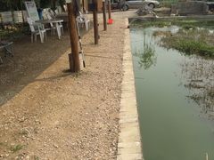 -同銮特种养殖场·龙虾垂钓