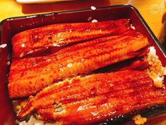 -Hatsuhana Japanese Restaurant