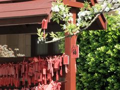 -舟山朱家尖绿城威斯汀度假酒店