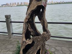 -无锡蠡湖国家湿地公园-蠡园