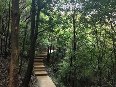 -梦幻奥陶纪景区