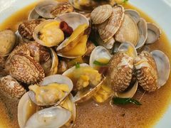 葱姜花蛤-双塔老饭店