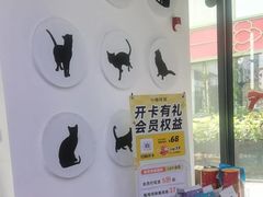 -小猫来了·猫舍(红山六九七九店)
