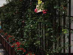 -王元兴酒楼(杭帮菜名店)