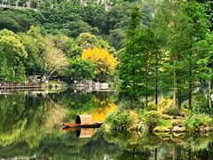 -重庆彩云湖湿地公园