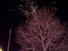 -果松木炭酸菜铜火锅·外婆参鸡汤