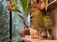 -自由生长植物工作室(深港花卉中心店)