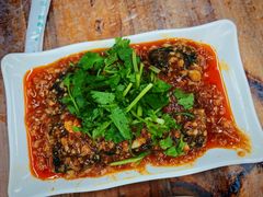 臭干子包牛肉-清真双宝红油牛系列