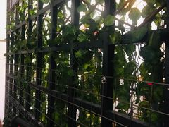 -手抄板凳江南菜(湖滨商业街店)