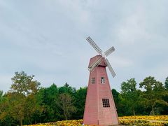 -同里国家湿地公园
