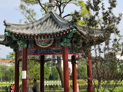 -西海子公园