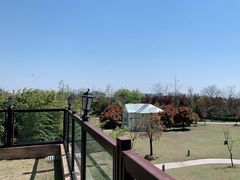 -徐州绿地皇冠假日酒店-汉宫中餐厅