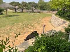 -沈阳森林动物园