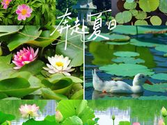 -木塔寺遗址生态公园