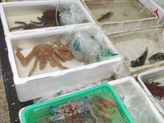 -外伶仃岛海鲜市场