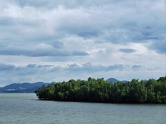 -深圳湾公园(南山区)