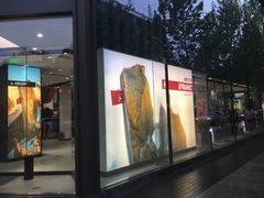 -ARC'TERYX始祖鸟(北京王府中环店)