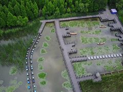 -溱湖国家湿地公园