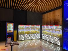 -SFC上影百联影城(川沙IMAX店)