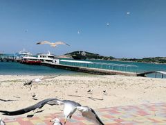 -海驴岛(荣成市)