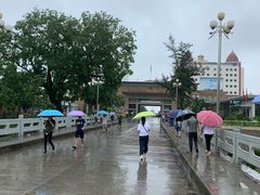 -东兴口岸-中越友谊大桥