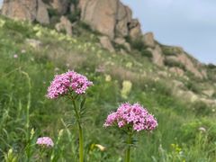 -白草畔自然风景区