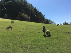 -神户市立六甲山牧场