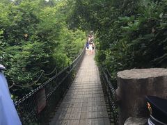 -东部华侨城