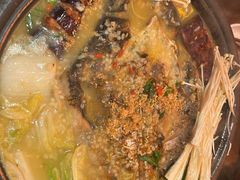 -探鱼·鲜青椒爽麻烤鱼(三水广场店)