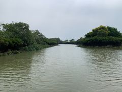 -大湾区中央湿地公园