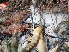 -唐人街(耀华力路)