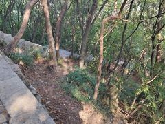 -紫金山山顶公园