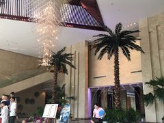 -常州环球恐龙城维景国际大酒店