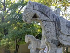 -鲁土司衙门旧址