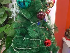 -LILY英语思维馆(玉泉路店)