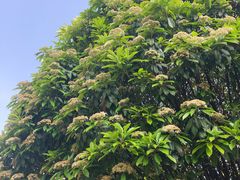 -常州古运河南大街文化旅游区-人民公园