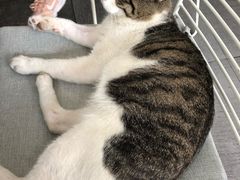 -UNI UNI(环亚凯瑟琳店)