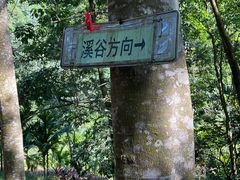 -万泉河漂流