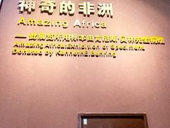 -国家自然博物馆