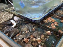 -天盛海鲜烧烤大排档·本地小海鲜·牟平腿穗子(幸福店)