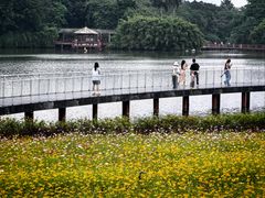 -海珠湖公园