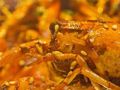 -肥肥虾庄·金牌油焖大虾(杨园滨江时代walk店)