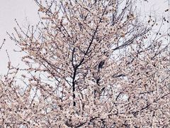 -唐城墙遗址公园